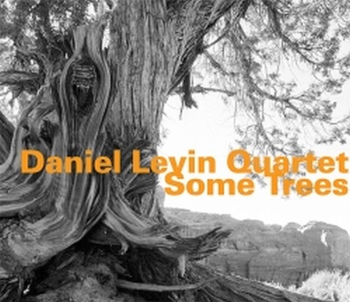 Some Trees  LEVIN DANIEL