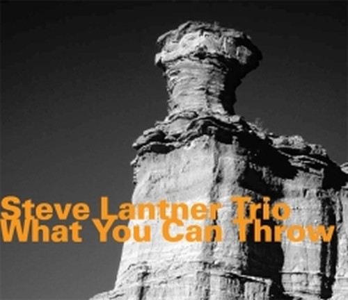 What You Can Throw  LANTNER STEVE