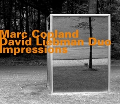 Impressions - Marc Copland David Liebman Duo  COPLAND MARC