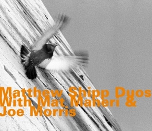 Matthew Shipp Duos with Mat Maneri & Joe Morris  MATTHEW SCHIPP DUO
