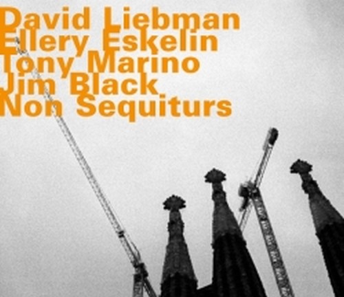 Non Sequiturs  LIEBMAN DAVE