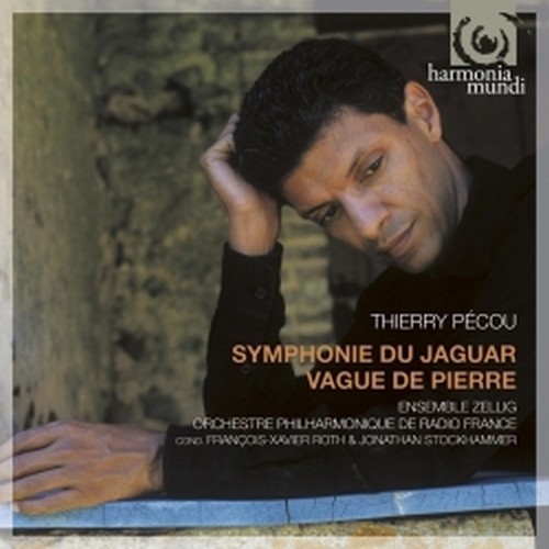 Symphonie du Jaguar, Vague de Pierre  PÉCOU THIERRY