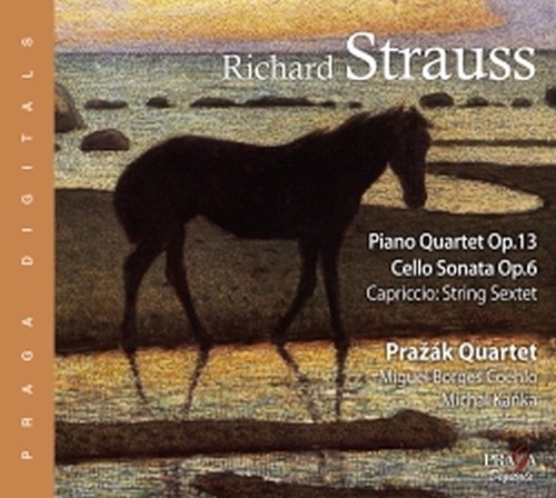 Quartetto con pianoforte op.13, Sonata per violoncello  STRAUSS RICHARD