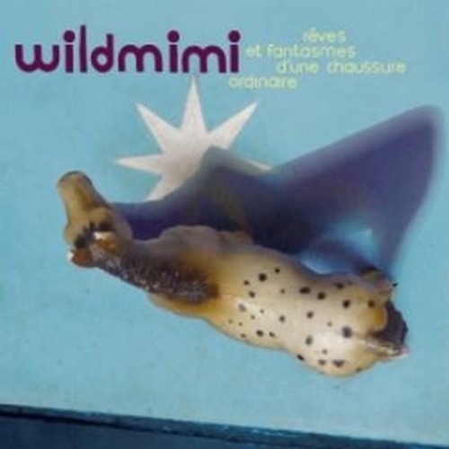 Rêves et fantasmes d'une chaussure ordinaire  WILDMIMI