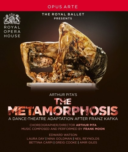 Metamorphosis  PITA ARTHUR