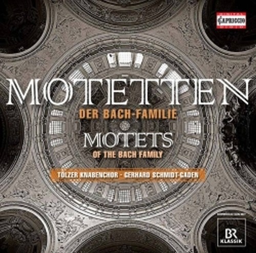 Mottetti della famiglia Bach  SCHMIDT-GADEN GERHARD Dir  