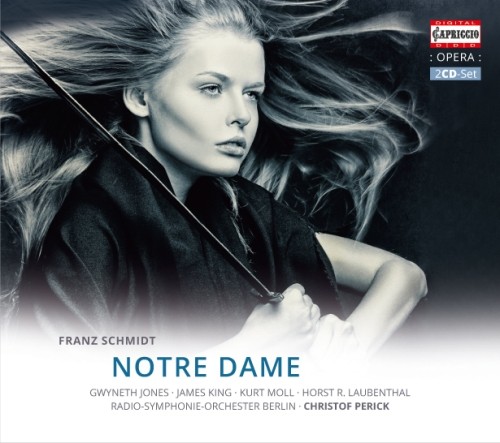 Notre Dame  SCHMIDT FRANZ