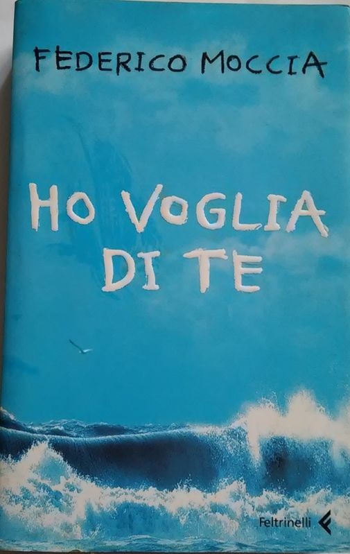 Ho voglia di te