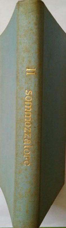 Il sommozzatore