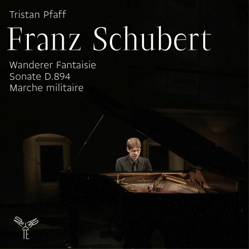 Fantasia "Wanderer", Sonata D 894, Marcia Militare (arr.Thausig)  SCHUBERT FRANZ