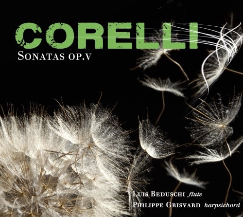 Eloquentia CORELLI ARCANGELO