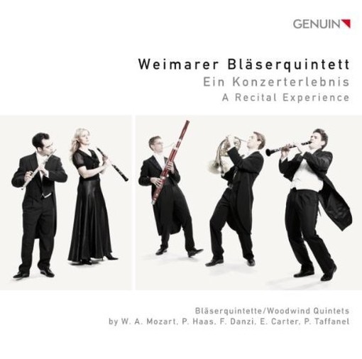 Ein Konzerterlebnis (A Recital Experience)  WEIMARER BLÄSERQUINTETT  