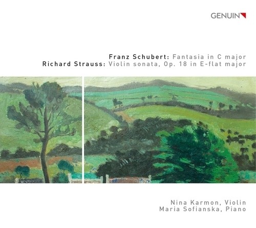 Fantasia per violino e pianoforte D 934  SCHUBERT FRANZ