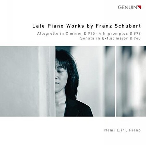 Sonata per pianoforte D 960, 4 Improvvisi D 899, Allegretto D 915  SCHUBERT FRANZ