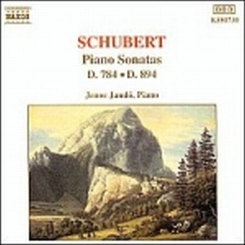 Sonata D 784 (op.post.), op.78 D 894  SCHUBERT FRANZ