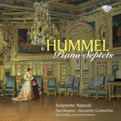 Brilliant Classics HUMMEL JOHANN NEPOMUK