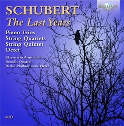 The last years  SCHUBERT FRANZ