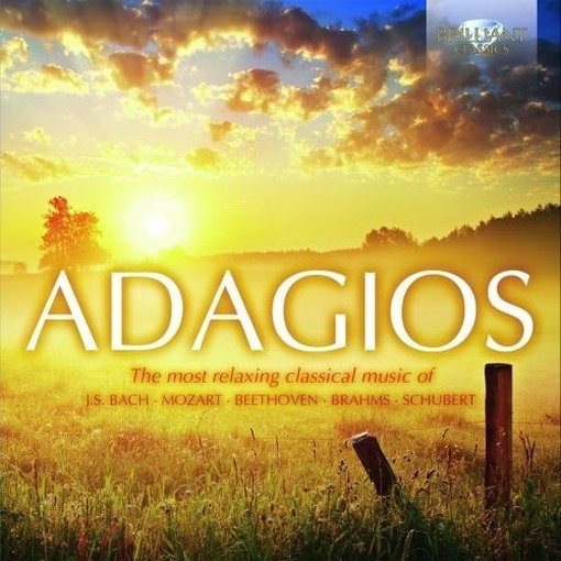 Adagios  BARSHAI RUDOLF Dir  