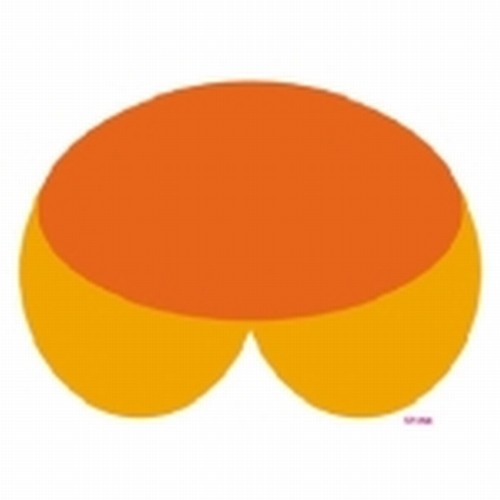 SPUNK  SPUNK