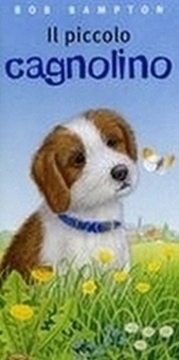 PICCOLO CAGNOLINO (IL)