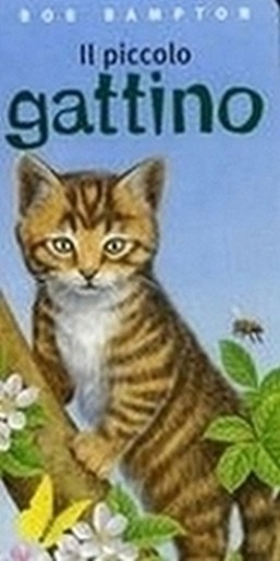 PICCOLO GATTINO (IL)