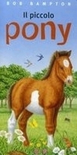 PICCOLO PONY (IL)