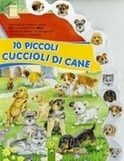 10 PICCOLI CUCCIOLI DI CANE