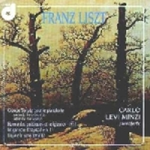 Gran sonata per pianoforte (secondo il manoscritto di Lehman)  LISZT FRANZ