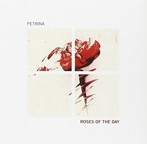 Roses of the Day  PETRINA