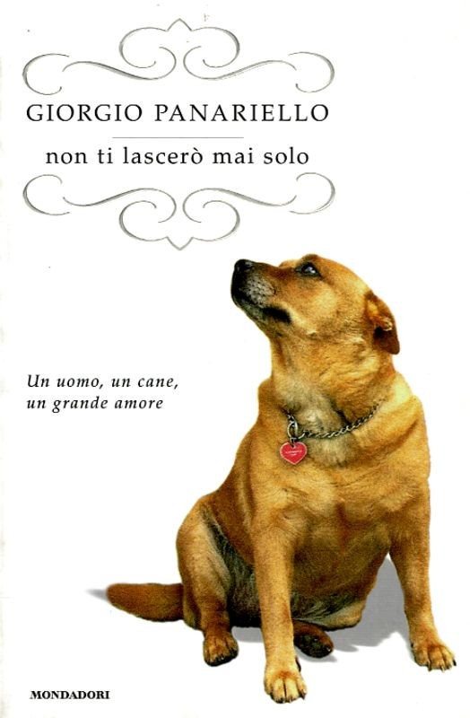 NON TI LASCERO' MAI SOLO