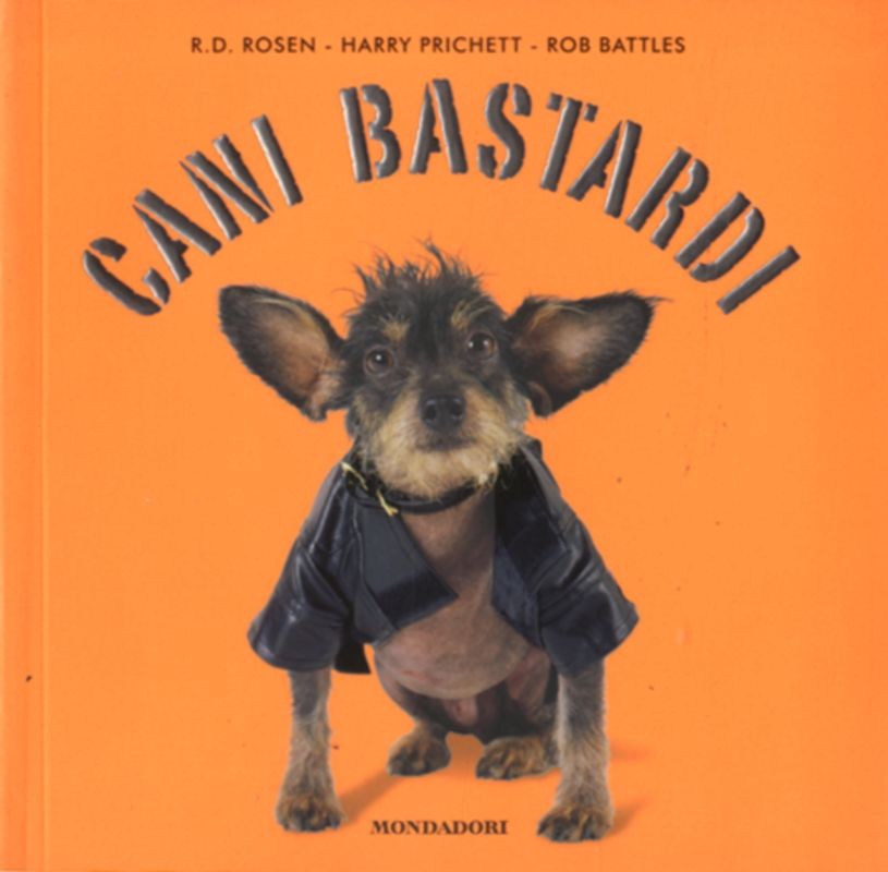 CANI BASTARDI