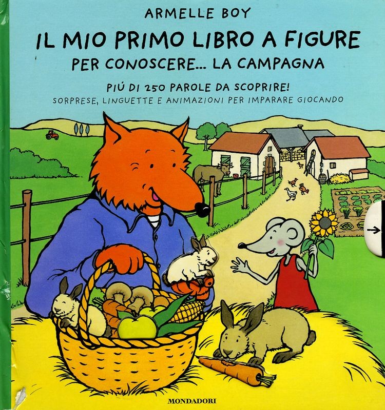 MIO PRIMO LIBRO A FIGURE LA CAMPAGN