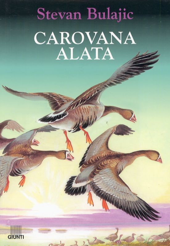 CAROVANA ALATA