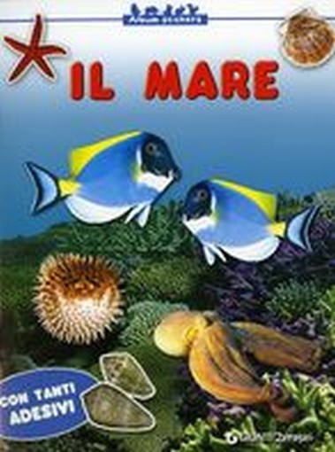 MARE (IL)