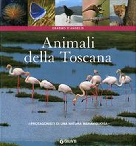 ANIMALI DELLA TOSCANA