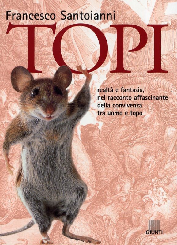 TOPI