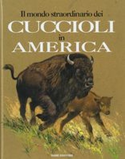CUCCIOLI IN AMERICA