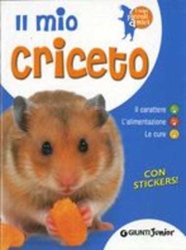 MIO CRICETO (IL) aa.vv
