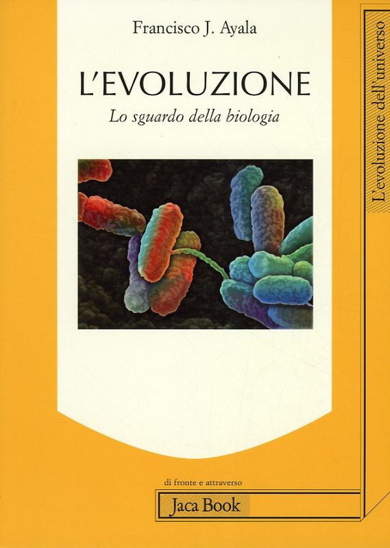 EVOLUZIONE (L')
