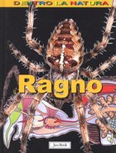 RAGNO IL