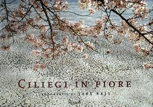 CILIEGI IN FIORE