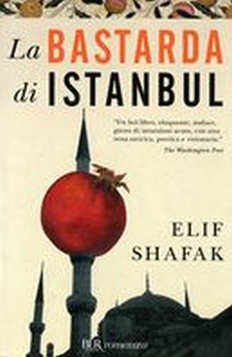 BASTARDA DI ISTANBUL (LA)