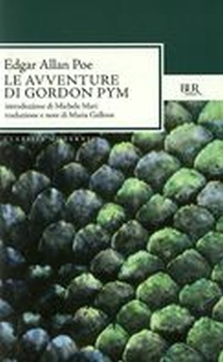 AVVENTURE DI GORDON PYM (LE)