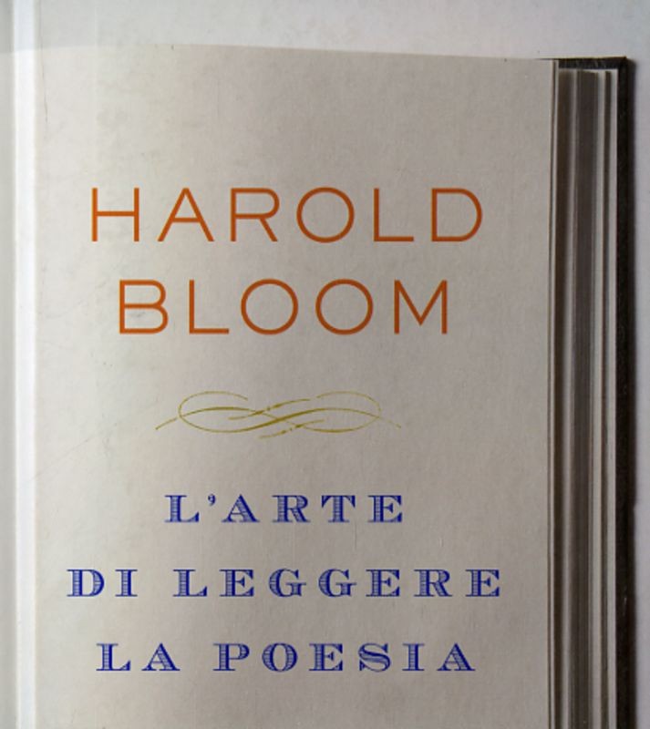 ARTE DI LEGGERE LA POESIA (L')