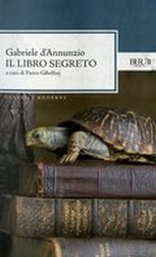 LIBRO SEGRETO (IL)