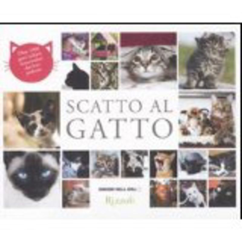 SCATTO AL GATTO