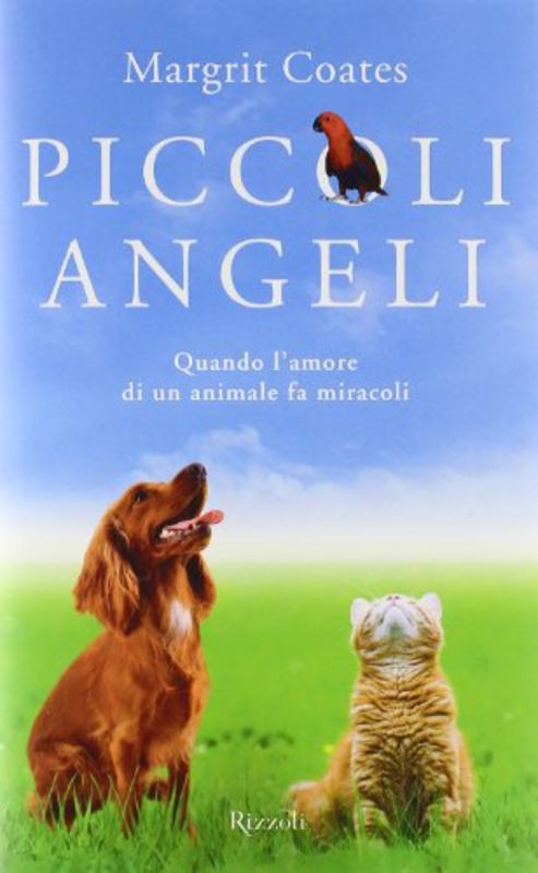 PICCOLI ANGELI