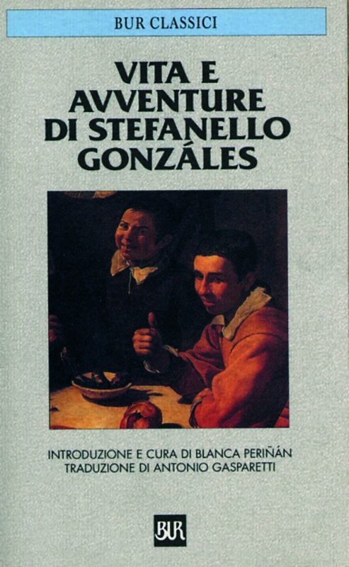 VITA E AVVENTURE DI STEFANELLO GONZ