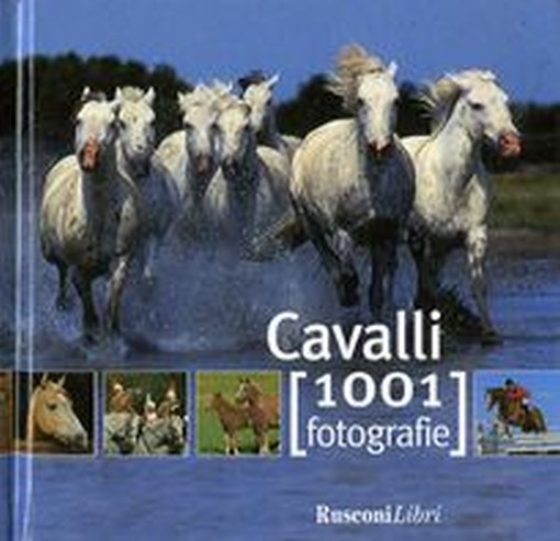 CAVALLI
