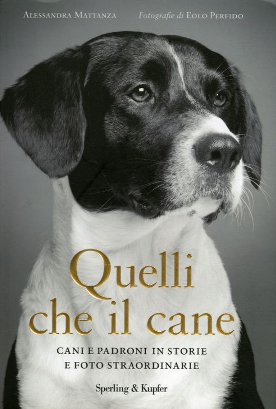 QUELLI CHE IL CANE